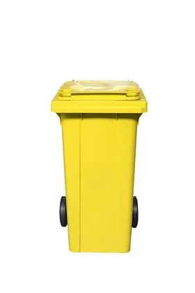 Foto do produto Carrinho Coletor de Lixo de 120 L sem Pedal